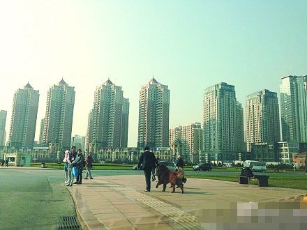 男子廣場(chǎng)遛兩藏獒一只沒(méi)拴繩 路人遠(yuǎn)遠(yuǎn)躲開(kāi)